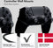 Floating Grip FG-PSCO-151B - Wandbevestiging - Voor PS4/PS3/Xbox One/Xbox 360 - Zwart (2 stuks)