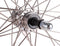 Ryde Achterwiel Zac-2000 26 Inch (559-19) Pion Velg Zwart