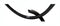 Ryde Velg Rival 19 Schijfrem 27,5 Inch (622 X 19c) 32g Zwart