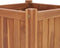 vidaXL - Plantenbak - verhoogd - 40x40x40 - cm - massief - teakhout