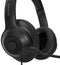 Targus AEH102GL - Hoofdtelefoon met microfoon - Ruisonderdrukking - Zwart