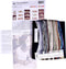 Thea Gouverneur - Borduurpakket met telpatroon - 470.05 - Voorgesorteerde DMC Garens - Londen - Zwart Aida - 79 cm x 50 cm - DIY Kit