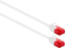 UTP Category 6 Rigid Network Cable Ewent White