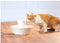 Petsafe Drinkwell Ceramic Avalon - Drinkfontein - 2 ltr - Wit