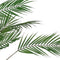 WOOOD Palm Kunstplant - Groen - 75x110x75