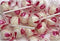 Candyman - Salmiakknotsen - Dé nougat met salmiak - (60 stuks)