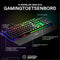 Steelseries Apex Pro TKL - Mechanisch Toetsenbord - Aanpasbare switches - Azerty FR