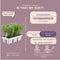 Plants by Frank - 72 Rozemarijnplant - Vaste planten - Tuinplanten - 72 x Ø7 cm - 25 cm - Rosmarinus offincalis winterhard - Geurhaag - Vers geleverd door de kweker