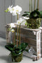 Emerald Kunstplant vlinderorchidee 70 cm wit