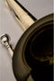 S.E. Shires Trombone Q Series TBQ33 (demo)