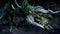 Bethesda Softworks Elder Scrolls Online - Elsweyr - Xbox One - RPG (18+)