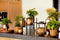 Capi Europe - Bloempot bol Groove Black & Gold - 9x8 - Zwart - Opening Ø7.2 - Bloempot voor binnen - 5 jaar garantie - BGVBL139