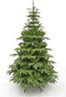 Triumph Tree Kunstkerstboom Aurora - 145x145x230 cm - PVC - Groen