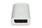 Digitus DS-55524 - DisplayPort Adapter - 8K/30Hz tot 30 m - Zilver