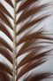 Decoratieve veer - 65x1.2-2x175 - Cognac - Bamboe