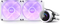 NZXT Kraken 280 - AIO Vloeistofkoeler 280mm - LCD Scherm RGB Ventilatoren - Wit