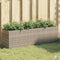 vidaXL - Plantenbak - met - 3 - potten - 105x30x32 - cm - poly - rattan - grijs