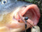 PB Products - Downforce Tungsten - Shot On The Hook Beads - 0,2 gram