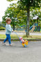BABY born - Loopeendje Berta - Driewieler - Ratelende wielen - Geschikt voor poppen 36-43 cm