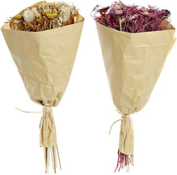 Boeket DKD Home Decor Fuchsia Geel Gedroogde bloem (20 x 12 x 50 cm) (2 Stuks)