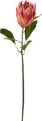 J-Line bloem Protea Tak - kunststof - rood - 6 stuks