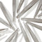 Tweezerman Slant Tweezer - Wenkbrauw Pincet - Professionele Precisie - RVS