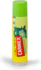 Vochtinbrengende Lip Balsem Lime Twist Carmex (4,25 g)