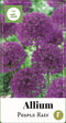 2 stuks - JUB - Allium Purple Rain 35 bollen