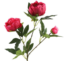Paeonia kunststof 23x13x73 cm roze kunstbloem II