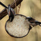 Coco Feeder Meelwormen