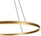 Steinhauer Ringlux 3676GO - Hanglamp - LED ring Ø100 - Goud