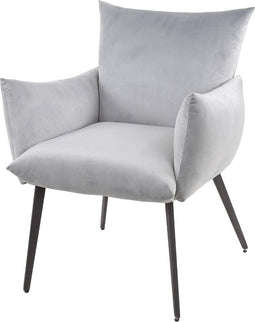 AnLi Style Eetkamerfauteuil Lobby Zilverkleurig Velours
