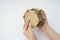 Robotime ROKR AMK52 - Muziekdoos - DIY - Secret Garden - Houten Modelbouw