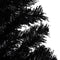 vidaXL - Kunstkerstboom - met - verlichting - en - kerstballen - 120 - cm - PVC - zwart