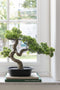 J-Line plant Podocarpus Bonsai - kunststof - groen - small