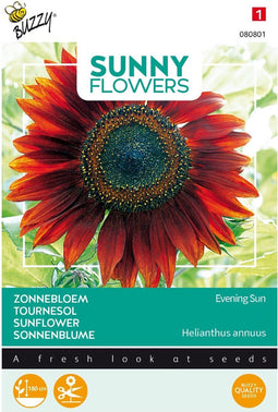 3 stuks - Buzzy - Sunny flowers evening sun