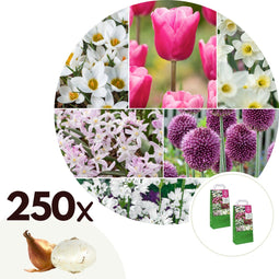 Plant in a Box - Bulb Garden Pink - 250x Bollen Mix - Narcis, Allium, Krokus, Tulp - Bloembollen voor Tuin, Terras of Balkon