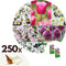 Plant in a Box - Bulb Garden Pink - 250x Bollen Mix - Narcis, Allium, Krokus, Tulp - Bloembollen voor Tuin, Terras of Balkon