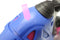 K3 Rolschaatsen - Verstelbaar - Maat 34-37 - Blauw/Roze