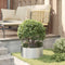 vidaXL - Tuinplanter - 40x40x20 - cm - van - Gegalvaniseerd - Staal