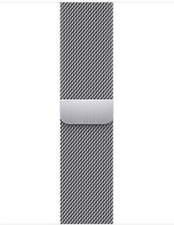 Apple MTJN3ZM/A - Bandje - Compatibel met Apple Watch 38 mm 40 mm 41 mm - Zilver