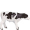 Mojo Farmland Holstein Kalf Staand - 387061