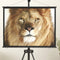 vidaXL - Projectiescherm - 4:3 - 50''