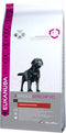 Eukanuba Dog Labrador Retriever - 12 KG