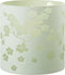 J-Line windlicht Bloemen - glas - groen - extra large