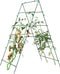 vidaXL - Plantenklimrekken - 3 - st - A-frame - staal