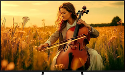 Sony K65XR55B - Smart TV 65" 4K Ultra HD ULED HDR Wifi Google Assistant - Zwart (2024)