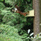 Esschert Design Eekhoorn - Voederhuis Naturel