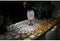 Solar lantaarn - GALIX - G2003 - Koper metaal - Witte LED 10 lumen - H35 cm