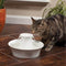 Petsafe Drinkwell Ceramic Avalon - Drinkfontein - 2 ltr - Wit